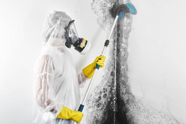 Best Residential Mold Inspection & Testing  in Mauriceville, TX