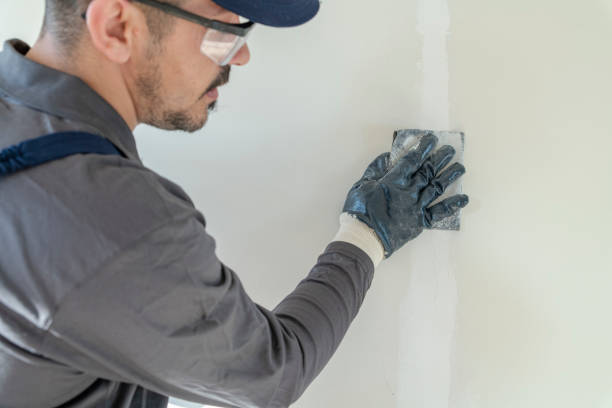 Best Mold-Related Health Consultation  in Mauriceville, TX